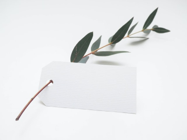 image of green leaf with white card