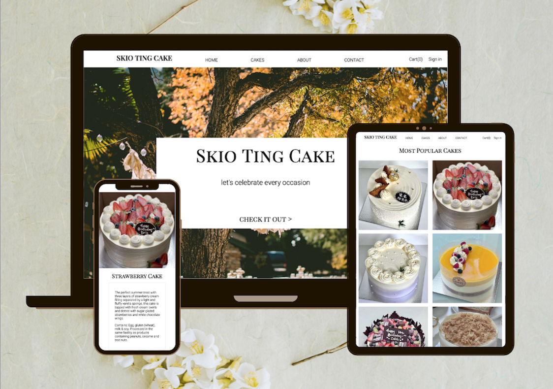 skio ting cake website mockup